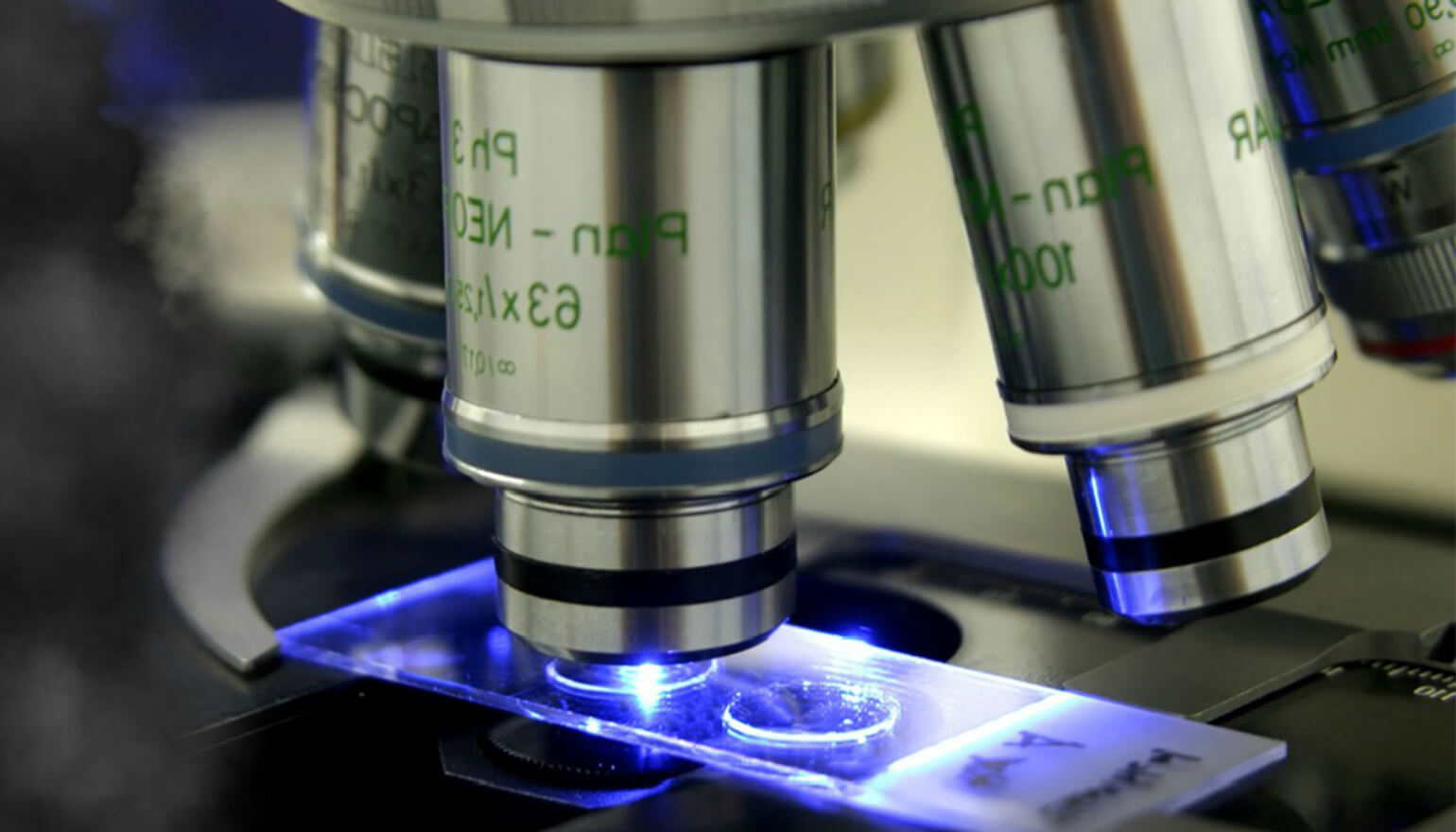 Microscope closeup