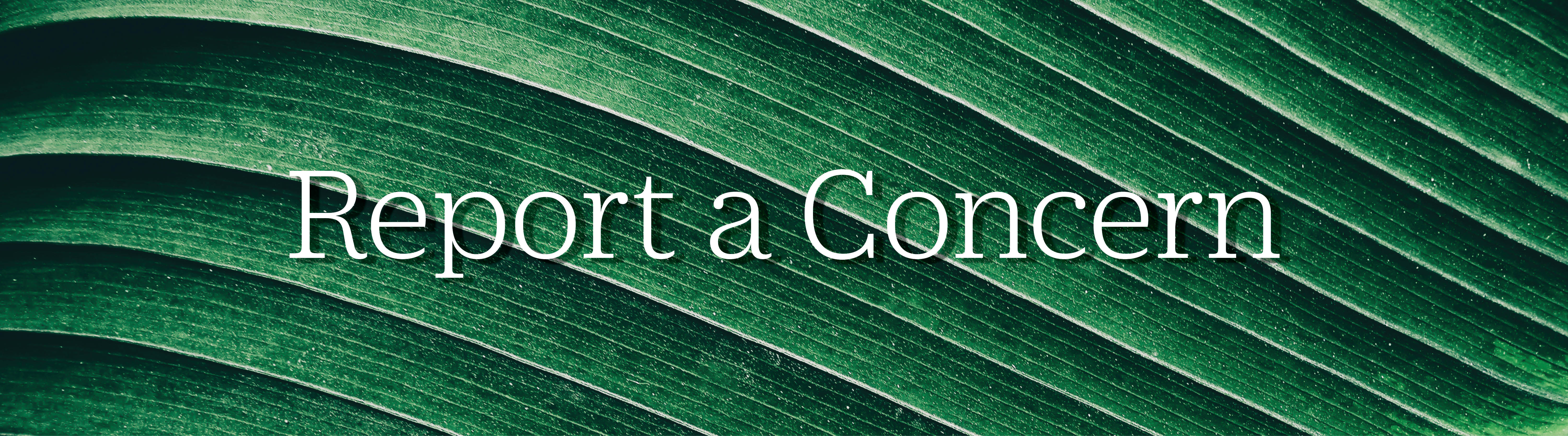 Report a Concern