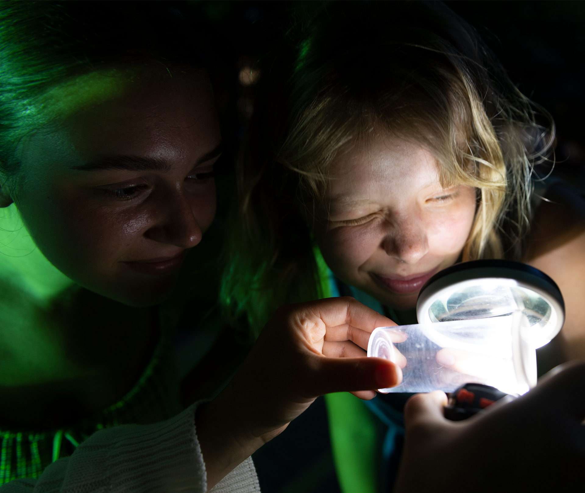Studying bugs in a black light