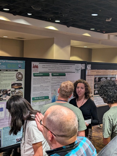 JMIH Poster Presentation