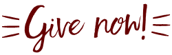 Give Now! button
